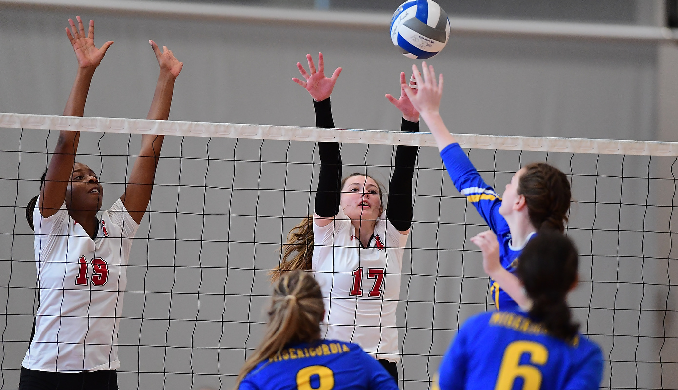 Volleyball Pushes Win Streak to Seven at Neumann Knights Invitational